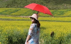 日本最爽的免费视频聊天软件